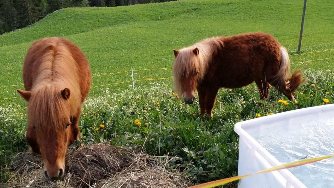 Luech Da Spescia Βίλα La Valle Εξωτερικό φωτογραφία